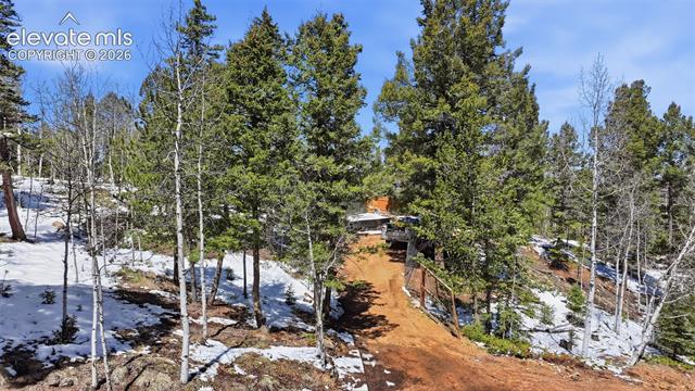 MLS Image for 747  Trout Haven  ,Florissant, Colorado