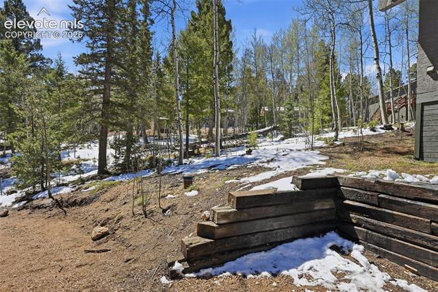 MLS Image for 747  Trout Haven  ,Florissant, Colorado
