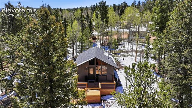MLS Image for 747  Trout Haven  ,Florissant, Colorado