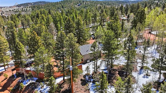 MLS Image for 747  Trout Haven  ,Florissant, Colorado