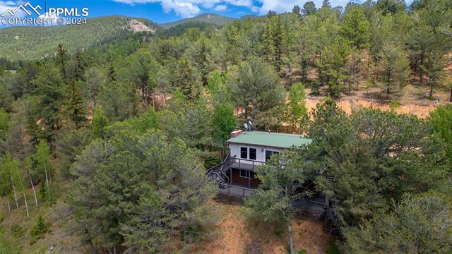 MLS Image for 150  Timber Ridge  ,Divide, Colorado