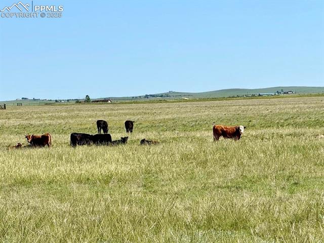 MLS Image for 21457  Spencer  ,Calhan, Colorado