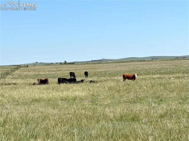 MLS Image for 21457  Spencer  ,Calhan, Colorado