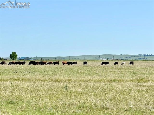 MLS Image for 21457  Spencer  ,Calhan, Colorado