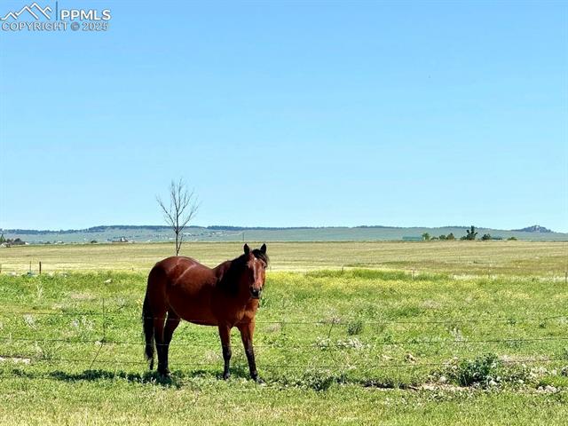 MLS Image for 21457  Spencer  ,Calhan, Colorado