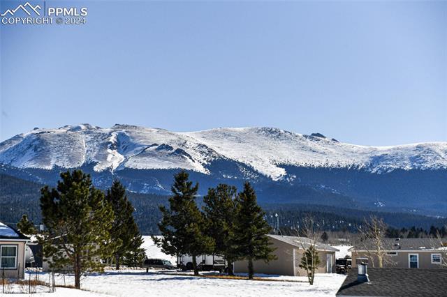 MLS Image for 462  Golden Grain  ,Divide, Colorado