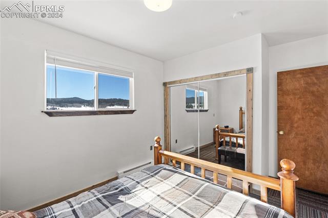 MLS Image for 462  Golden Grain  ,Divide, Colorado