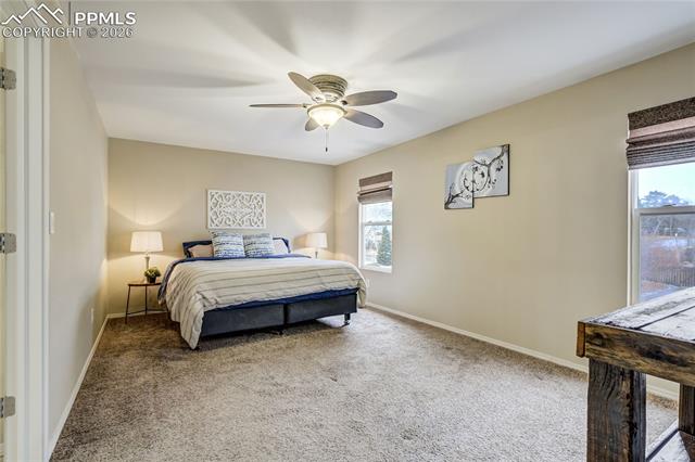 MLS Image for 1240  Whistler Hollow  ,Colorado Springs, Colorado