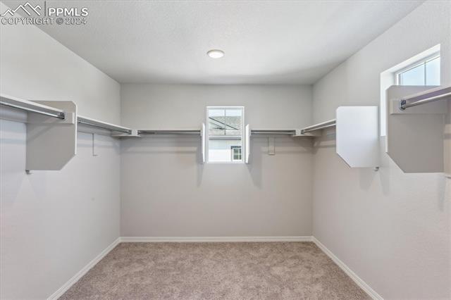 MLS Image for 4940  Krueger  ,Colorado Springs, Colorado