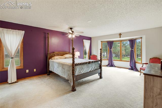 MLS Image for 390 E Stirrup  ,Monument, Colorado
