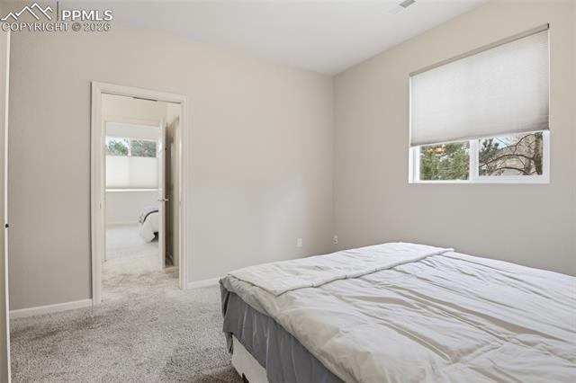 MLS Image for 1615  Capadaro  ,Monument, Colorado