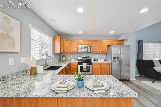 MLS Image for 11514  Mountain Turtle  ,Colorado Springs, Colorado