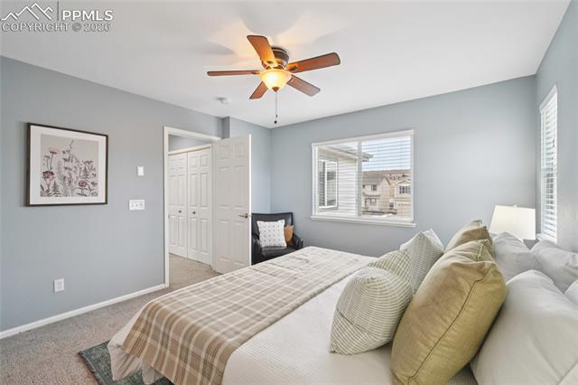 MLS Image for 11514  Mountain Turtle  ,Colorado Springs, Colorado
