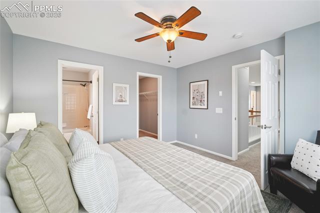 MLS Image for 11514  Mountain Turtle  ,Colorado Springs, Colorado