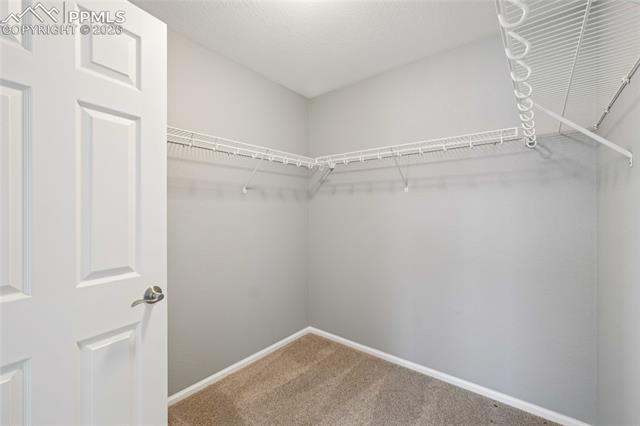 MLS Image for 11514  Mountain Turtle  ,Colorado Springs, Colorado