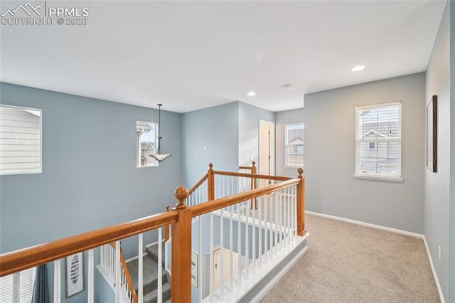 MLS Image for 11514  Mountain Turtle  ,Colorado Springs, Colorado