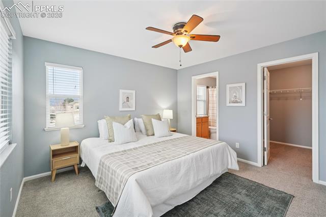 MLS Image for 11514  Mountain Turtle  ,Colorado Springs, Colorado