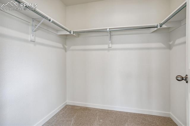 MLS Image for 6745  Raven Ridge  ,Colorado Springs, Colorado
