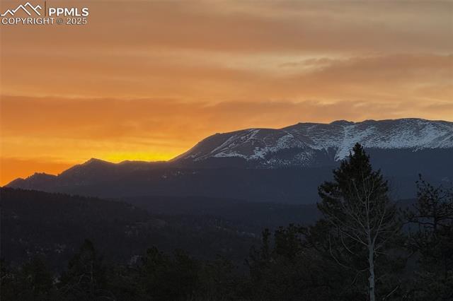 MLS Image for 126  Rainier  ,Florissant, Colorado