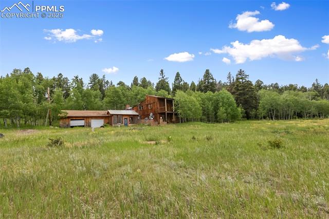 MLS Image for 238  Forest  ,Florissant, Colorado