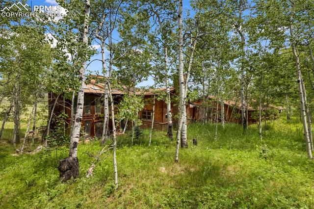MLS Image for 238  Forest  ,Florissant, Colorado