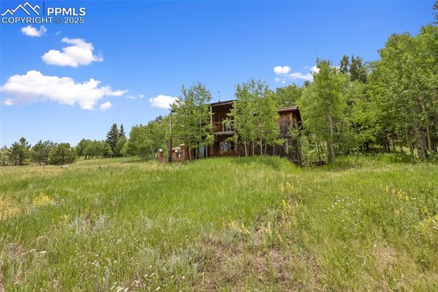 MLS Image for 238  Forest  ,Florissant, Colorado