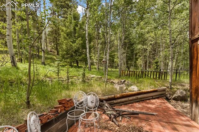 MLS Image for 238  Forest  ,Florissant, Colorado