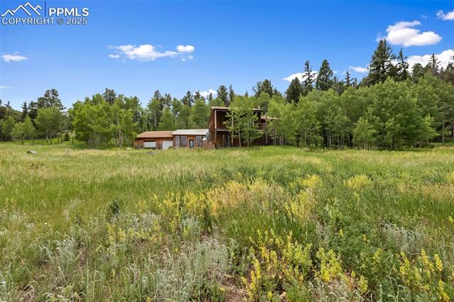 MLS Image for 238  Forest  ,Florissant, Colorado