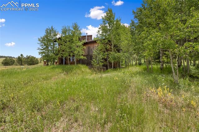 MLS Image for 238  Forest  ,Florissant, Colorado