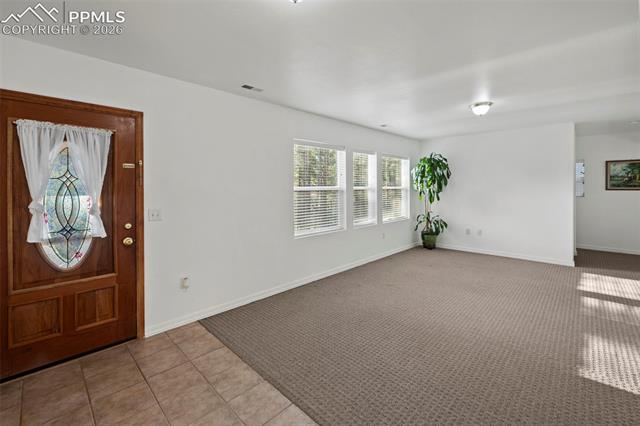MLS Image for 46  Kingston  ,Florissant, Colorado