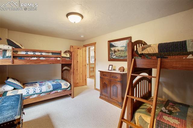 MLS Image for 527  Cougar  ,Divide, Colorado