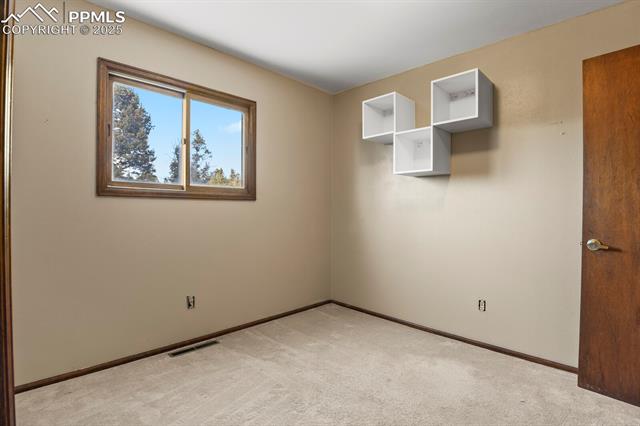 MLS Image for 129  Alpine  ,Woodland Park, Colorado