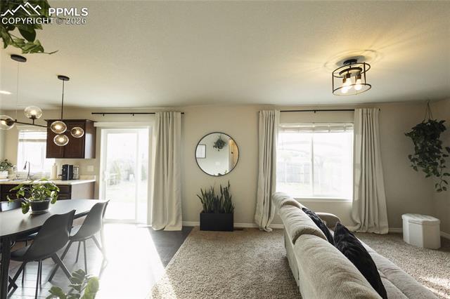 MLS Image for 9901  Castor  ,Colorado Springs, Colorado