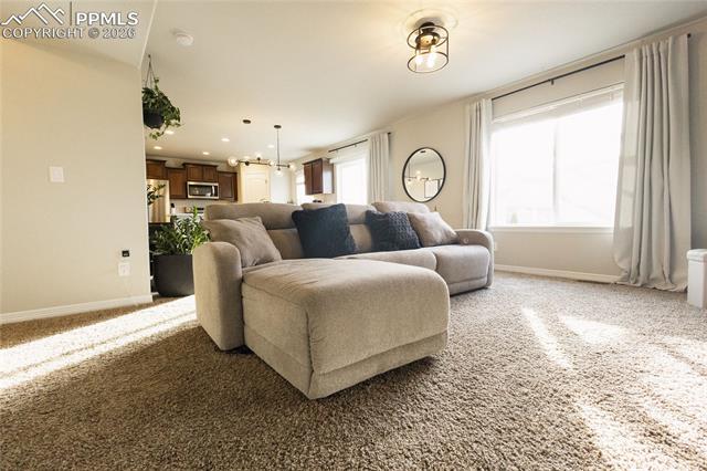 MLS Image for 9901  Castor  ,Colorado Springs, Colorado