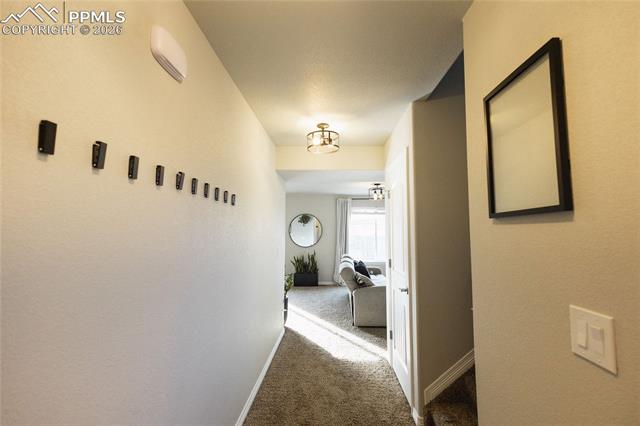 MLS Image for 9901  Castor  ,Colorado Springs, Colorado