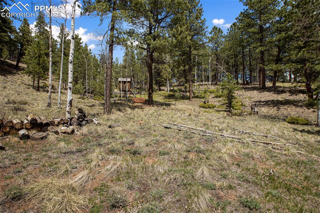 MLS Image for 1011 W Bison Creek  ,Divide, Colorado