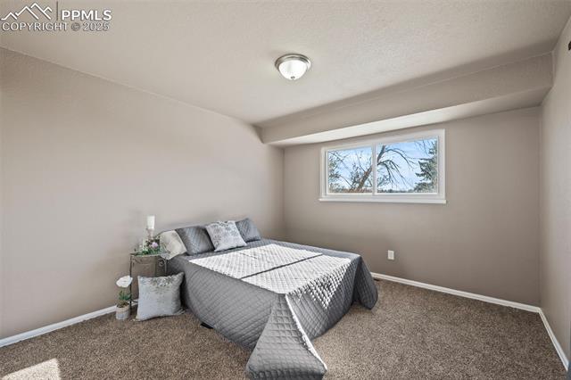 MLS Image for 4749 N Sleepy Hollow  ,Colorado Springs, Colorado