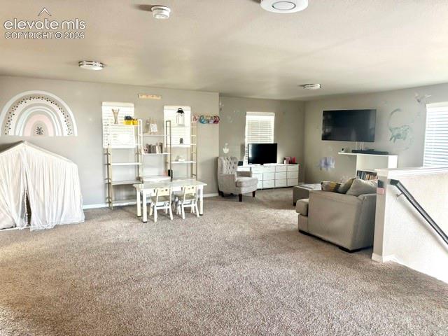 MLS Image for 7219  Silver Moon  ,Colorado Springs, Colorado