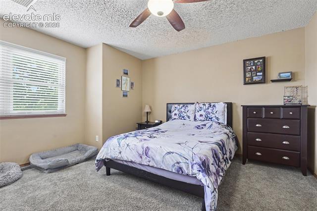MLS Image for 5914  Santana  ,Colorado Springs, Colorado