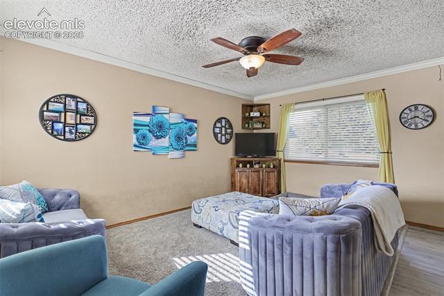 MLS Image for 5914  Santana  ,Colorado Springs, Colorado