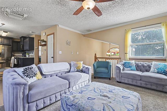 MLS Image for 5914  Santana  ,Colorado Springs, Colorado