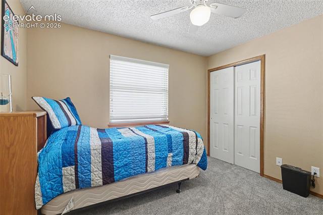 MLS Image for 5914  Santana  ,Colorado Springs, Colorado