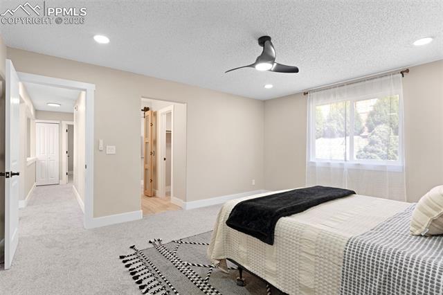 MLS Image for 4685  Dapple Grey  ,Colorado Springs, Colorado