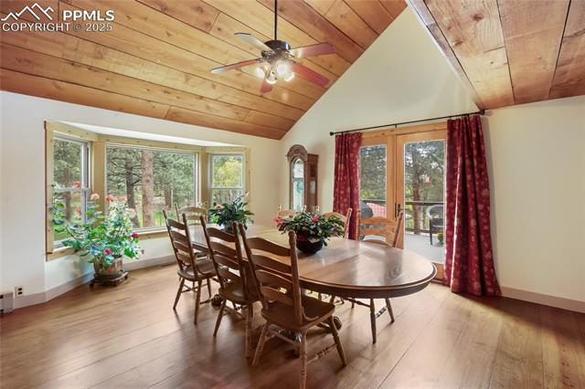 MLS Image for 688  Obsidian  ,Florissant, Colorado