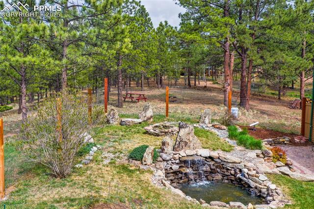 MLS Image for 688  Obsidian  ,Florissant, Colorado
