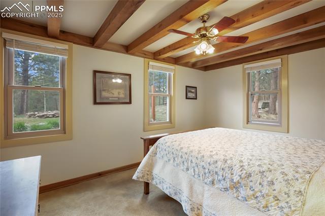 MLS Image for 688  Obsidian  ,Florissant, Colorado