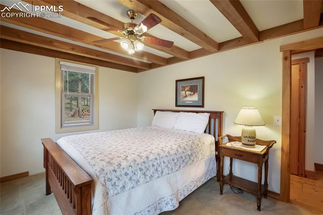 MLS Image for 688  Obsidian  ,Florissant, Colorado