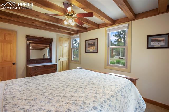 MLS Image for 688  Obsidian  ,Florissant, Colorado