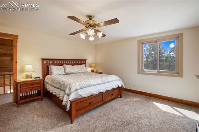 MLS Image for 688  Obsidian  ,Florissant, Colorado