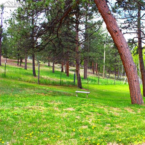 MLS Image for 688  Obsidian  ,Florissant, Colorado